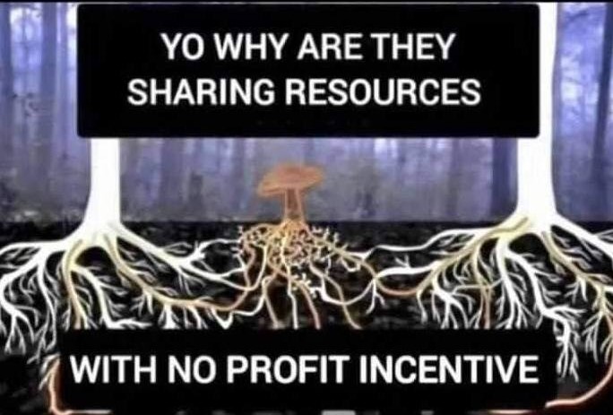 The meme is a play on the concept of "you can't have your cake and eat it too." It features a split-screen image of a tree with roots that are both connected to a cake and a mushroom. The top half of the image reads "You can't have your cake and eat it too" while the bottom half reads "You can't have your cake and eat it too, but you can have your cake and have it grow into a tree."
